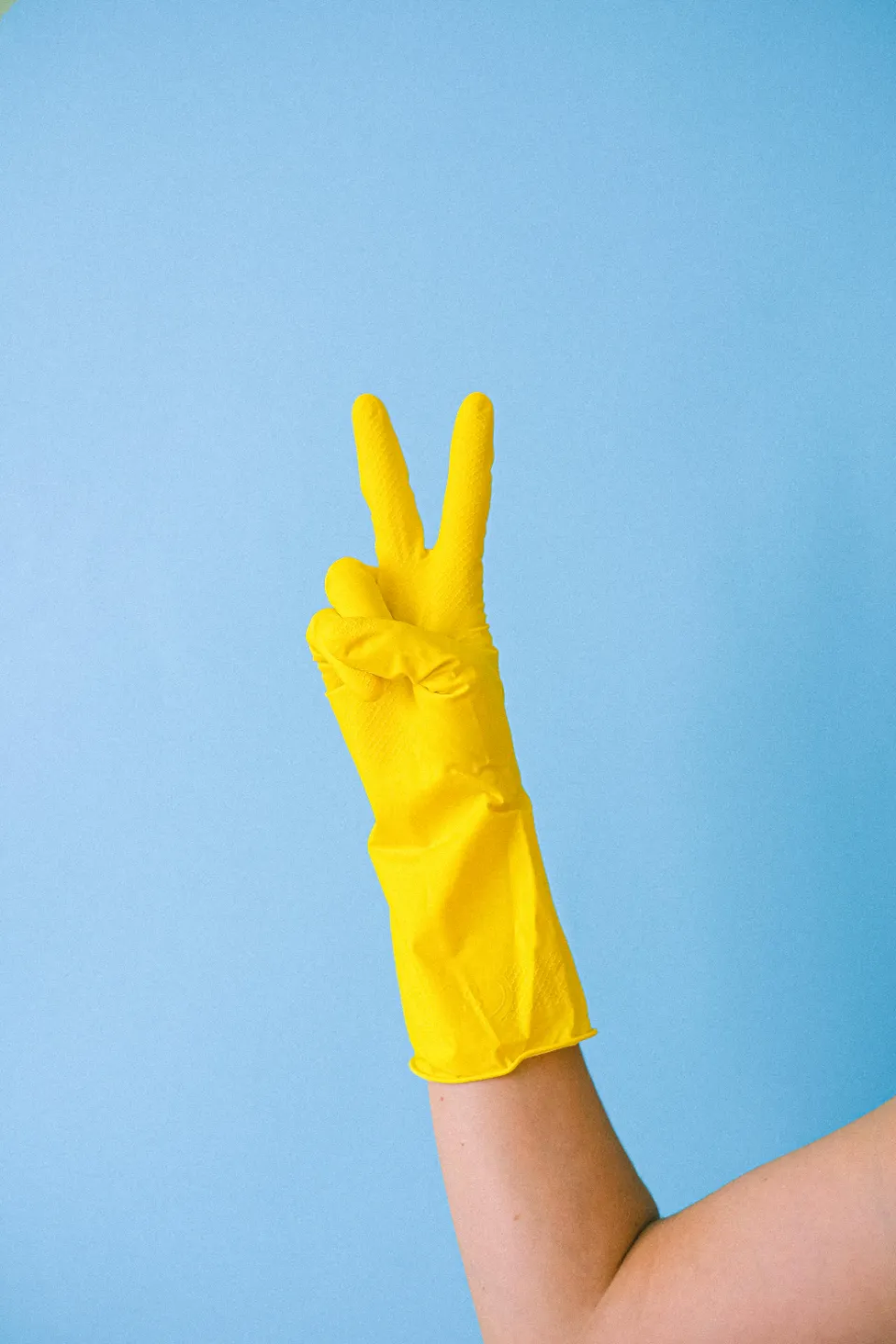 Professional Cleaning